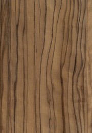 olivo | LAVARTEC