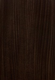 Olmo | LAVARTEC