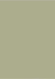 corian serpentine green | LAVARTEC