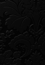 3100 lace | LAVARTEC