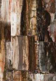 8331-petrified-wood-classic | LAVARTEC