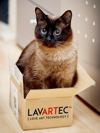 Лето подарков! Скидки всем новоселам от LAVARTEC